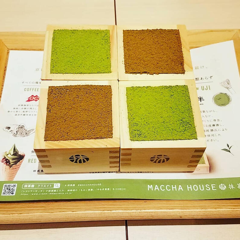 Four servings of tiramisu (two houjicha and two matcha) from Maccha House.